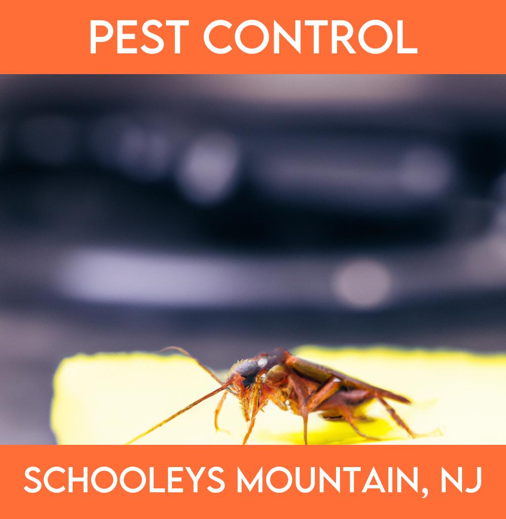 pest control in Schooleys Mountain New Jersey