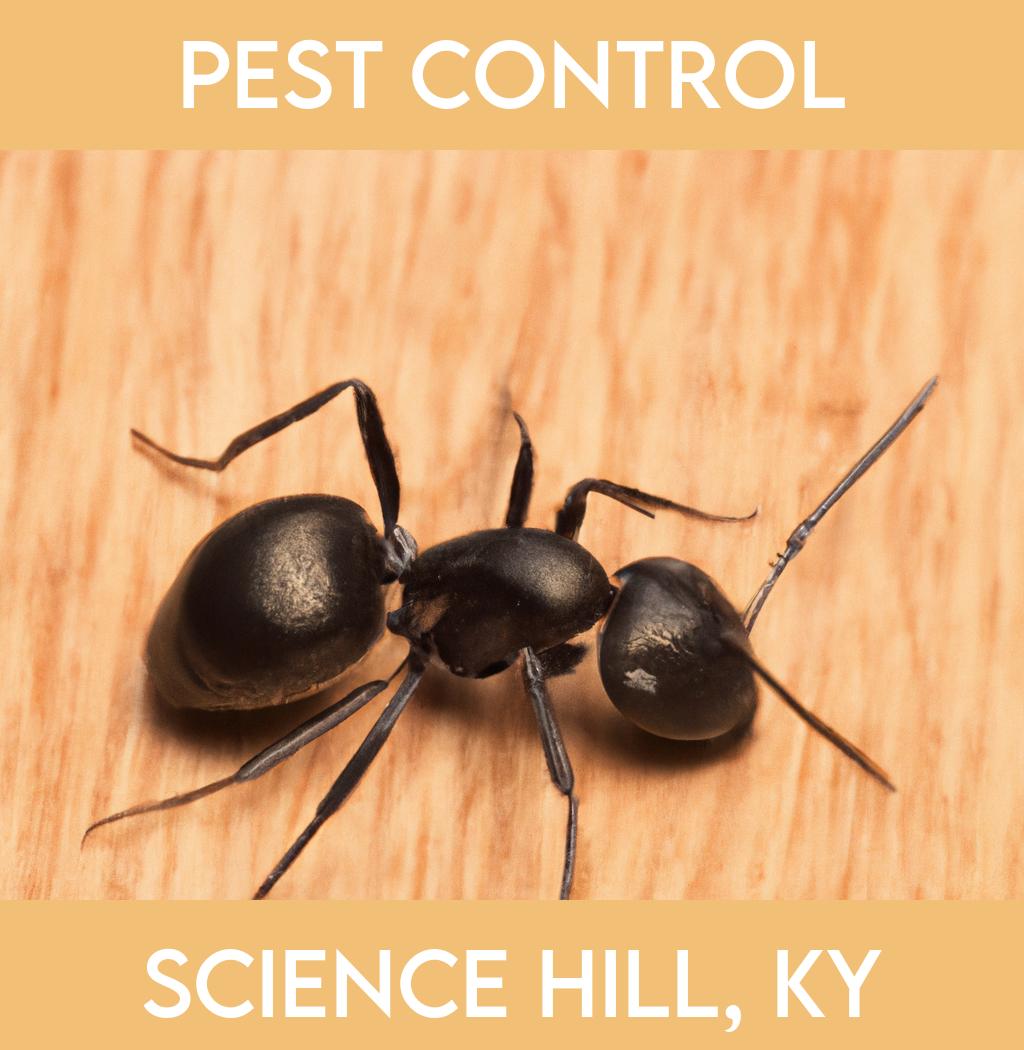 pest control in Science Hill Kentucky