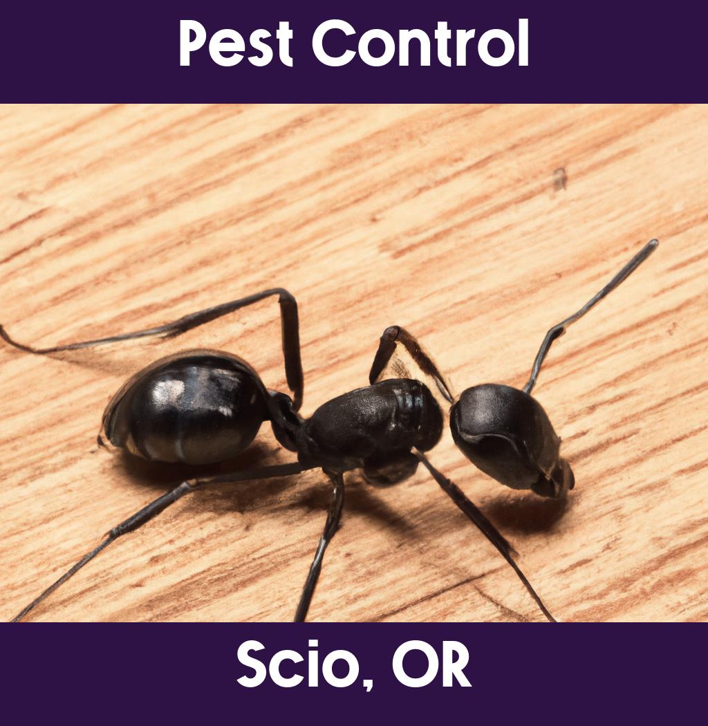 pest control in Scio Oregon