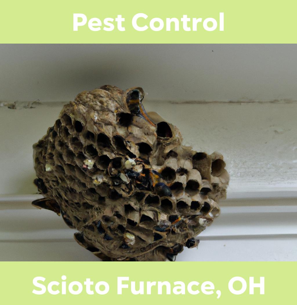pest control in Scioto Furnace Ohio
