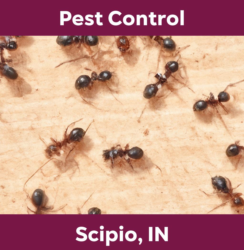 pest control in Scipio Indiana