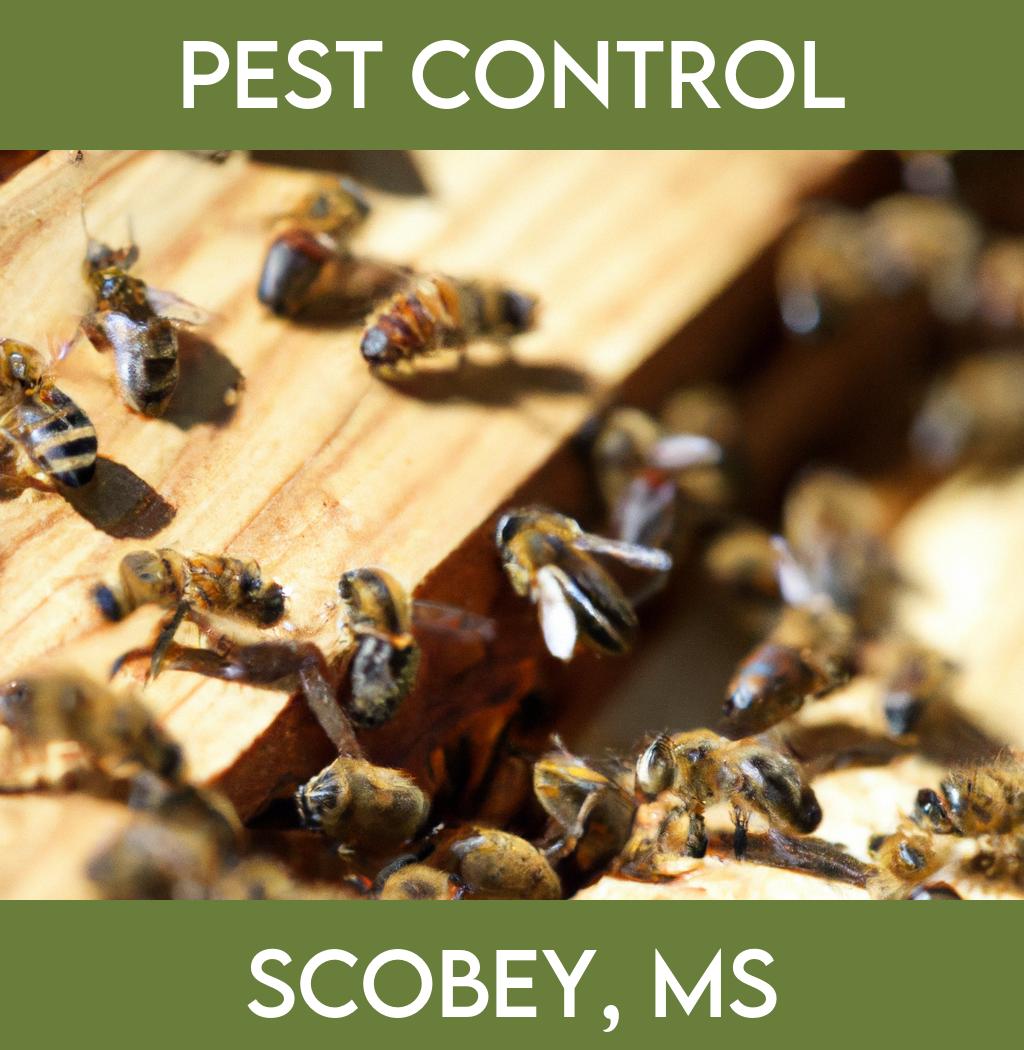 pest control in Scobey Mississippi