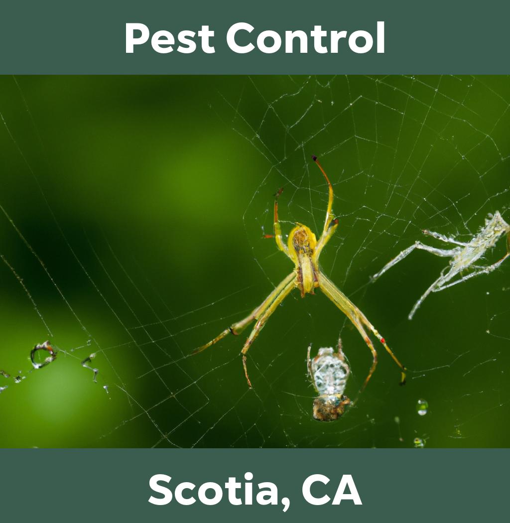 pest control in Scotia California