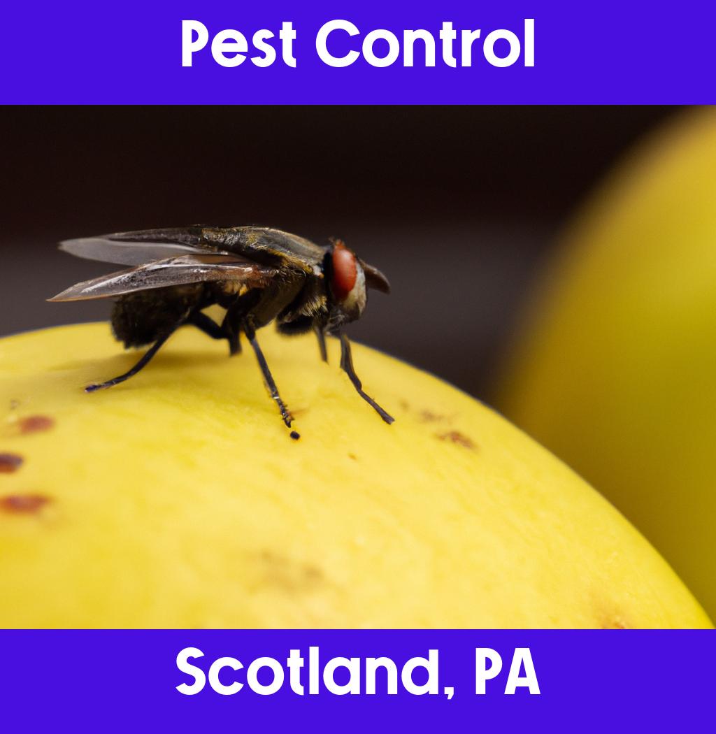 pest control in Scotland Pennsylvania