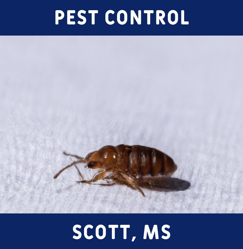 pest control in Scott Mississippi