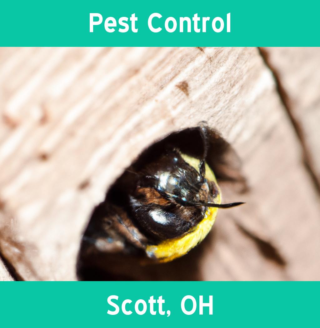 pest control in Scott Ohio