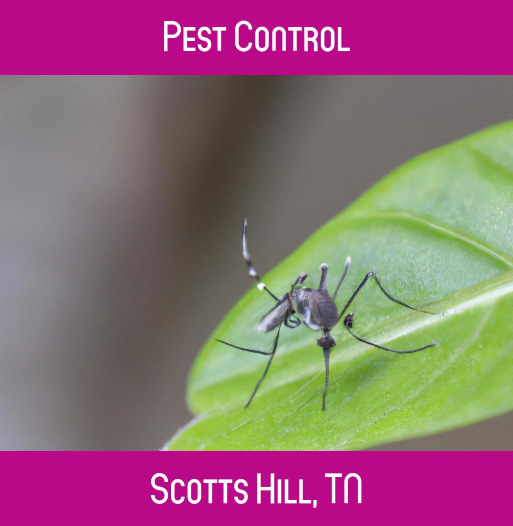 pest control in Scotts Hill Tennessee