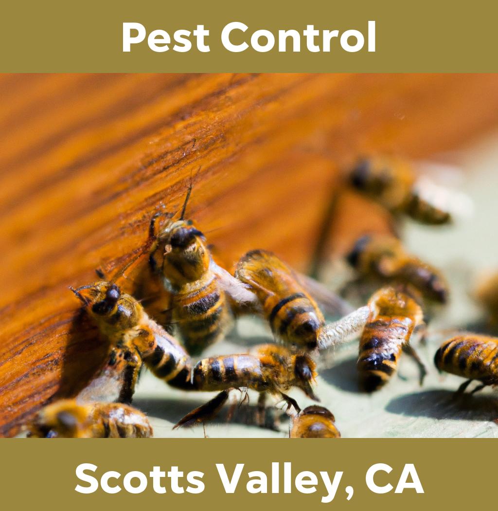 pest control in Scotts Valley California
