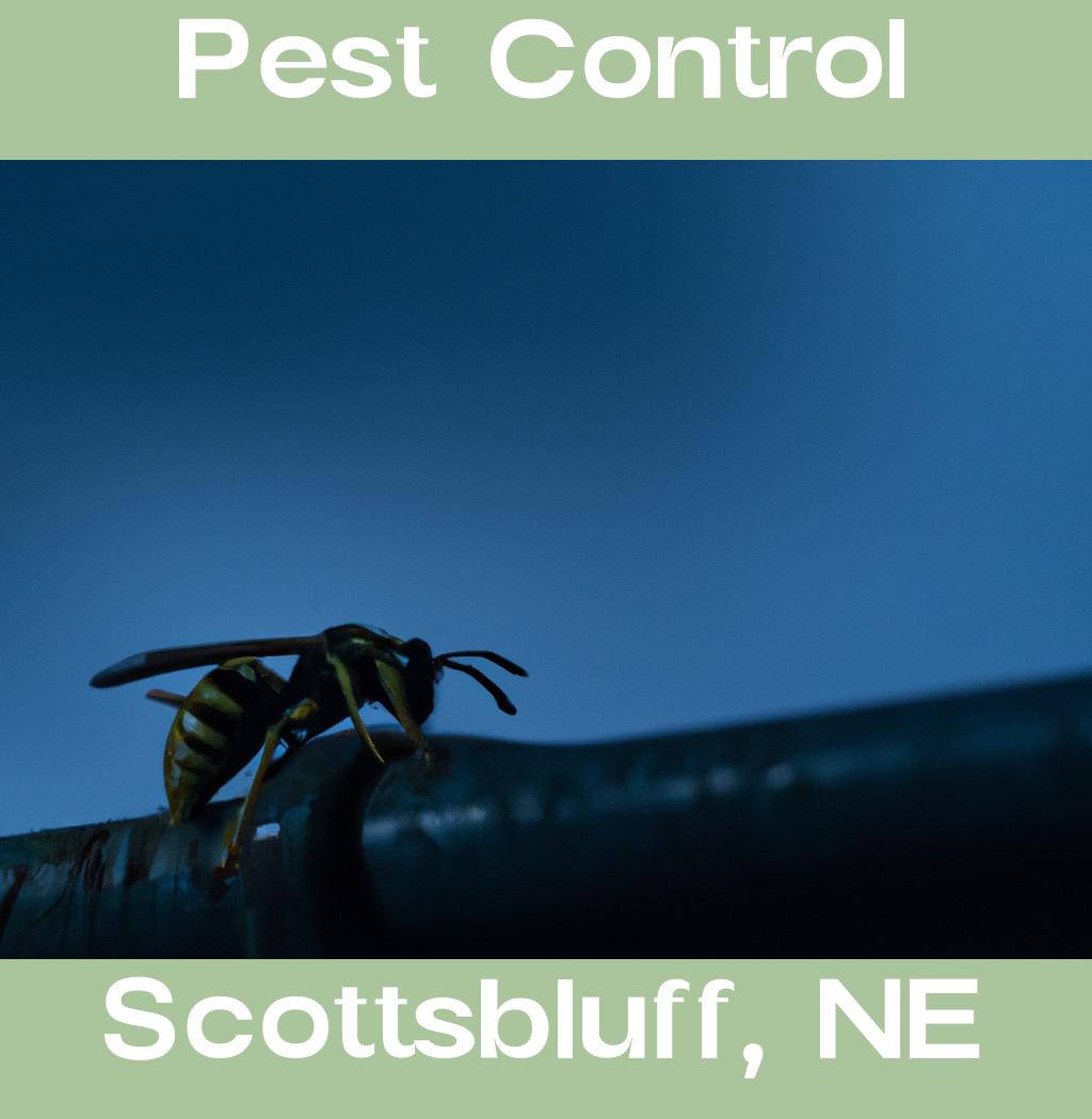 pest control in Scottsbluff Nebraska