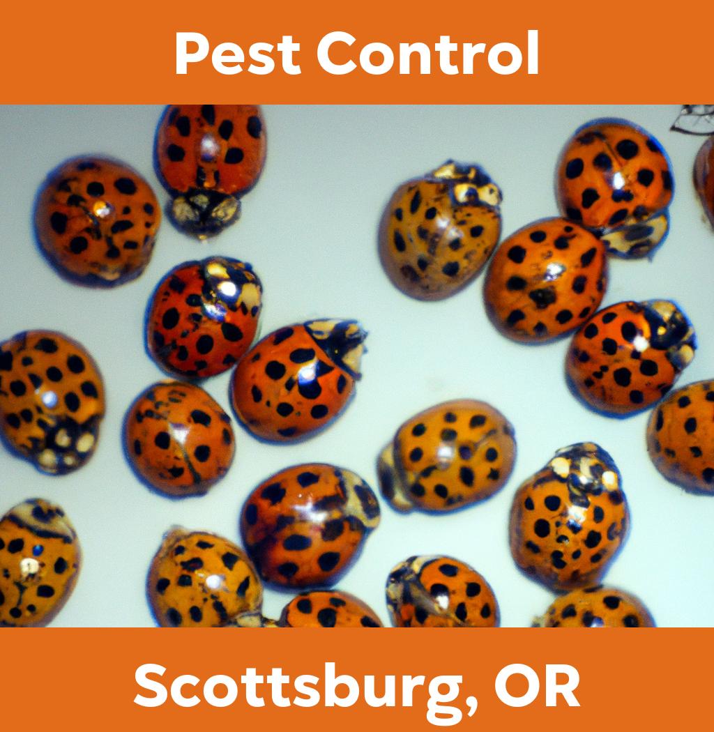 pest control in Scottsburg Oregon