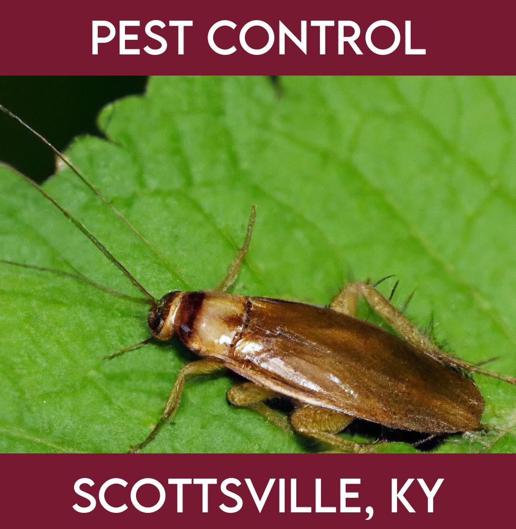 pest control in Scottsville Kentucky
