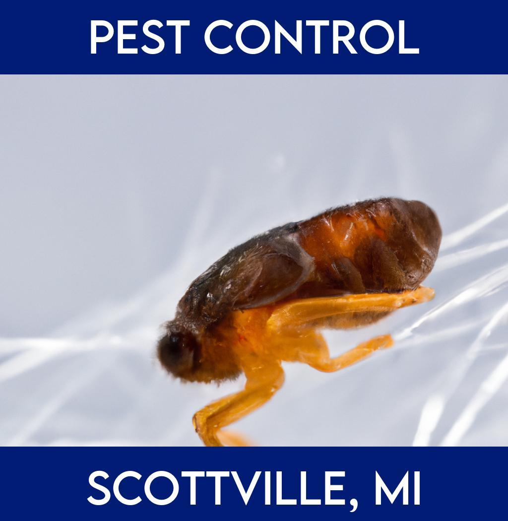 pest control in Scottville Michigan