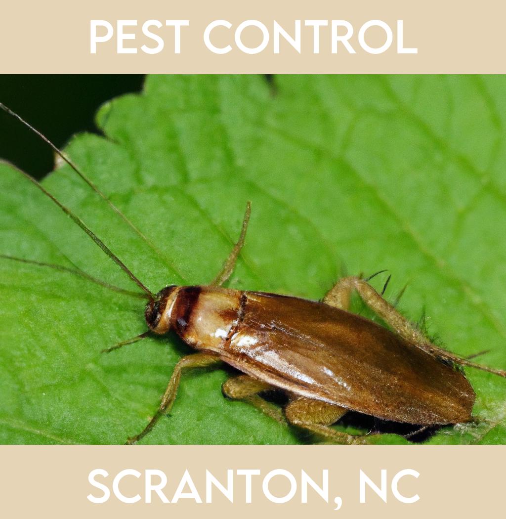 pest control in Scranton North Carolina