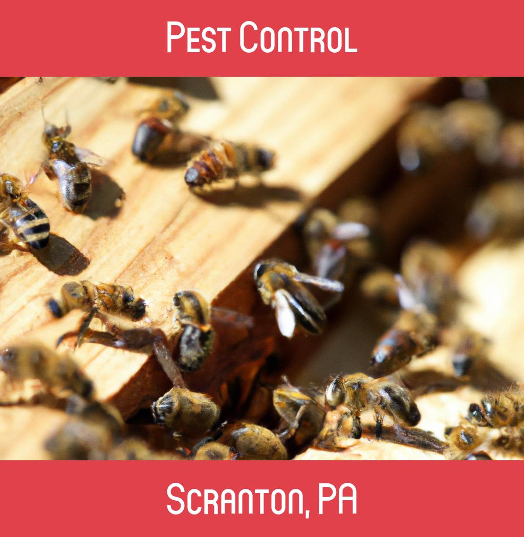 pest control in Scranton Pennsylvania