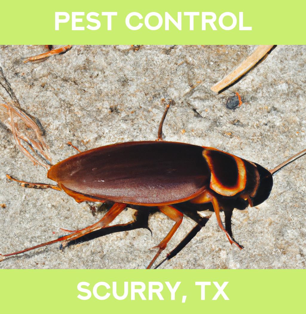 pest control in Scurry Texas