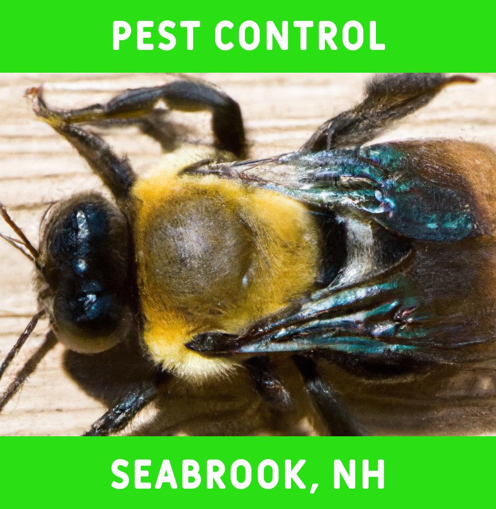 pest control in Seabrook New Hampshire