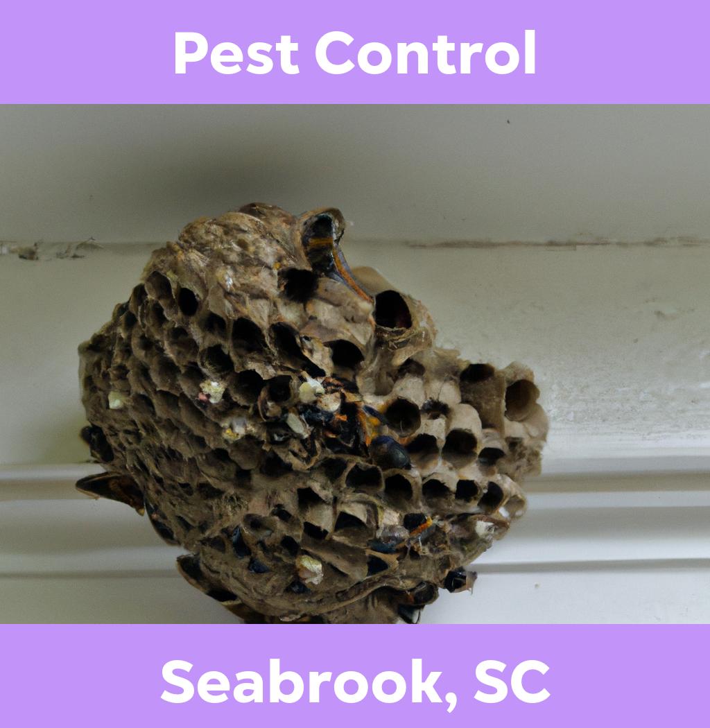 pest control in Seabrook South Carolina