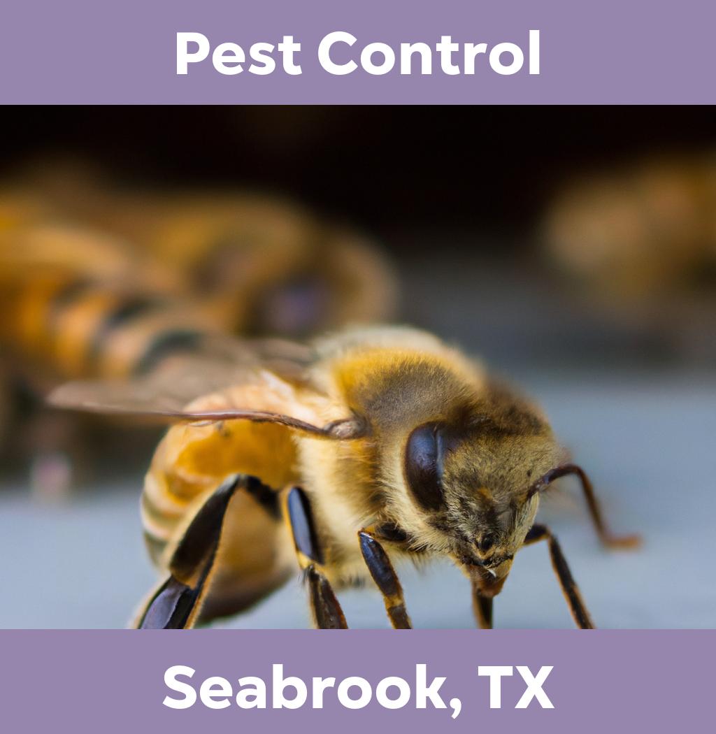 pest control in Seabrook Texas