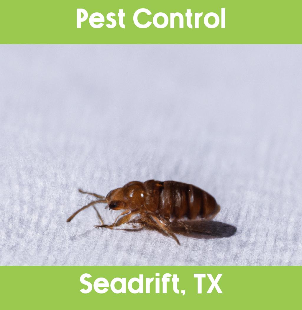 pest control in Seadrift Texas