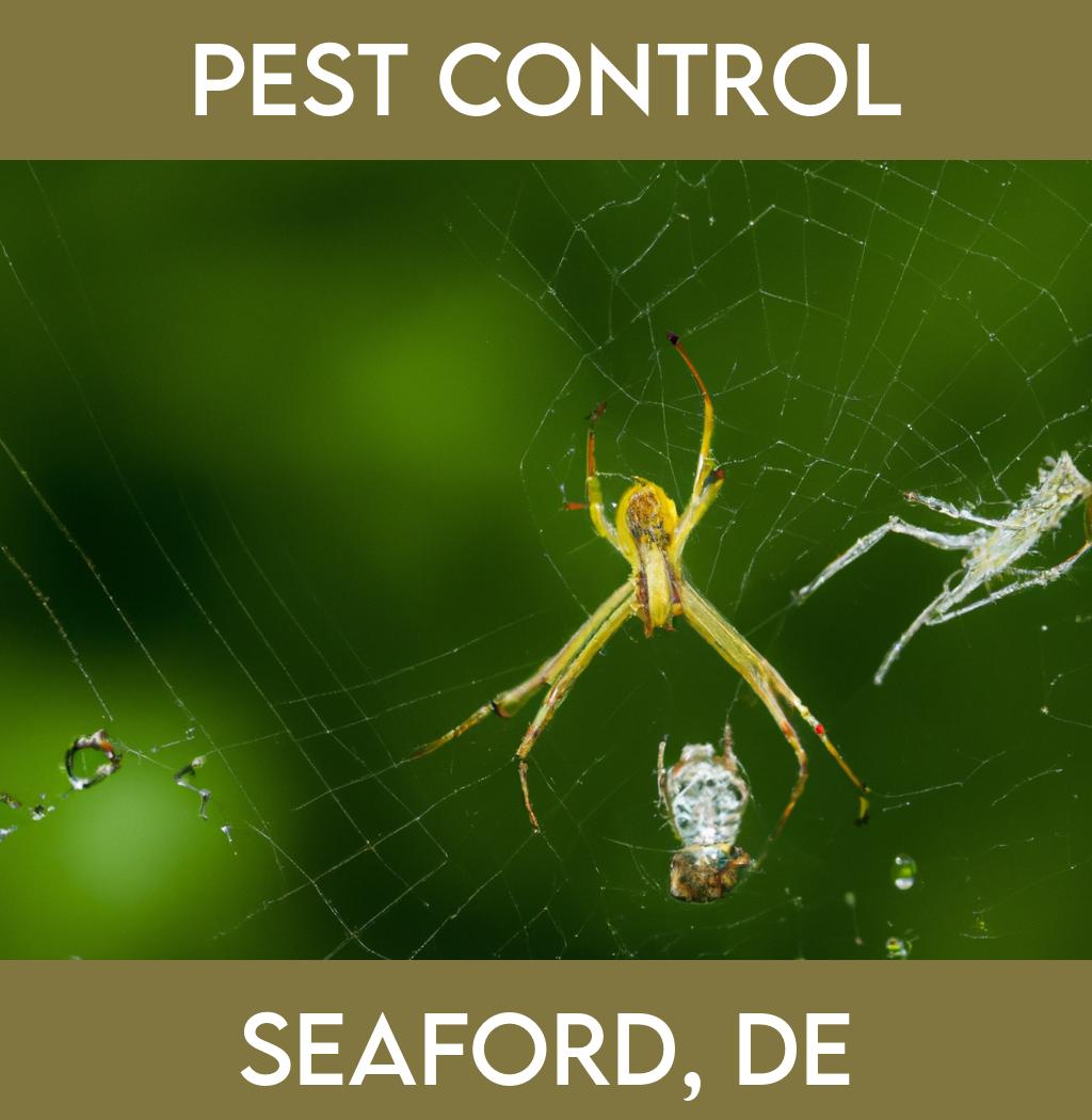 pest control in Seaford Delaware