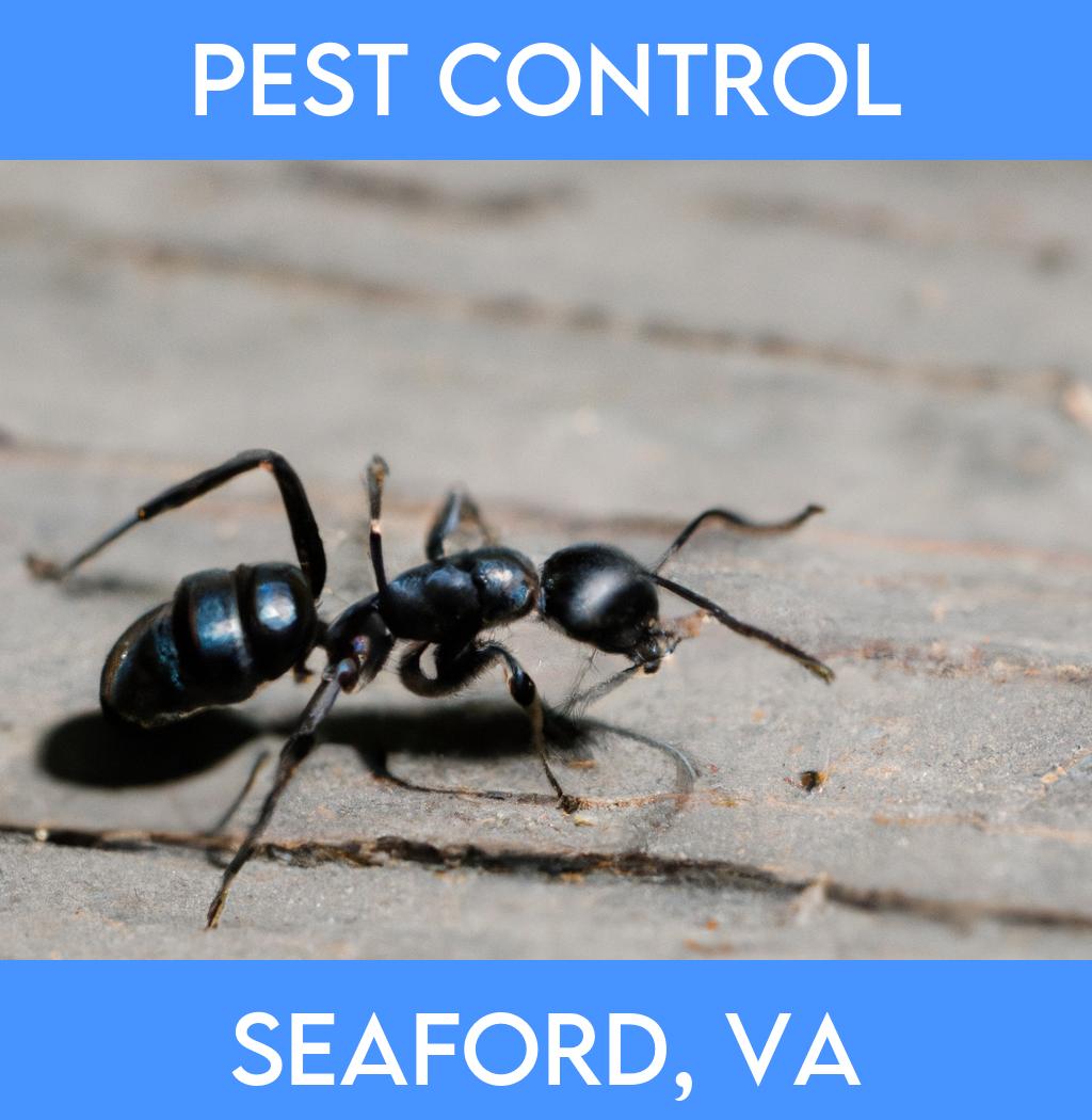 pest control in Seaford Virginia