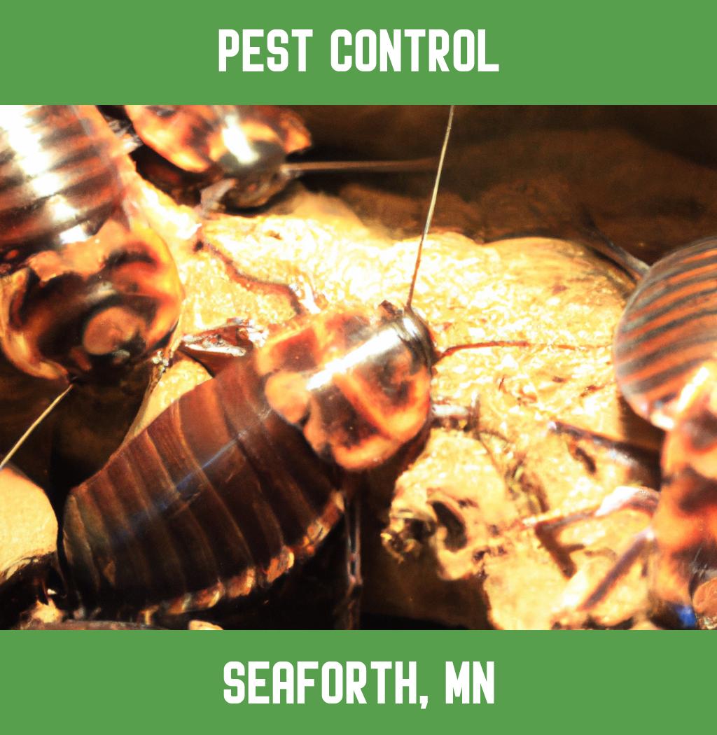 pest control in Seaforth Minnesota