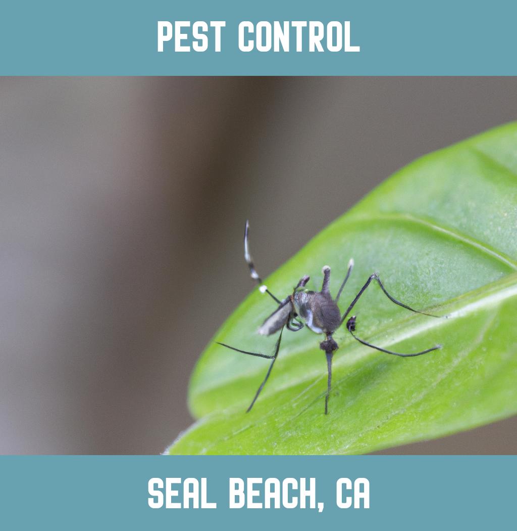 pest control in Seal Beach California