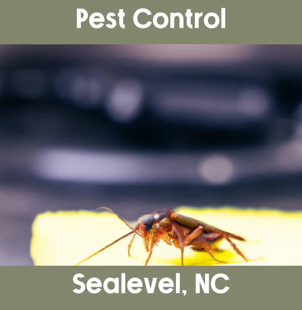 pest control in Sealevel North Carolina
