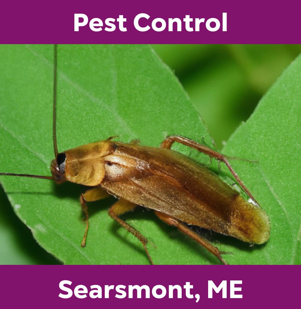 pest control in Searsmont Maine