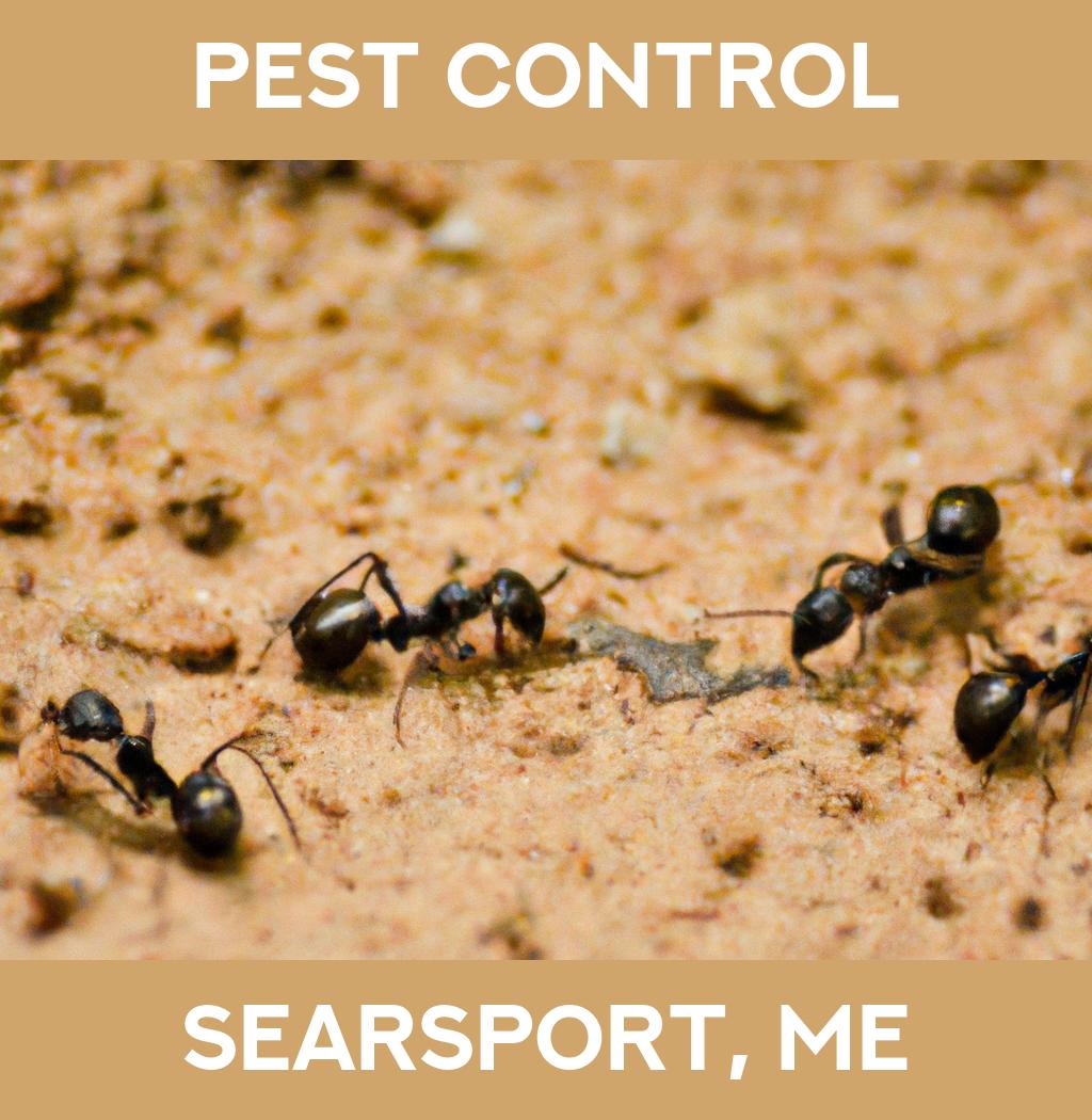 pest control in Searsport Maine