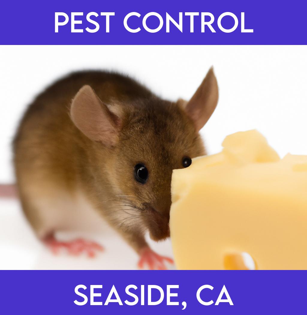 pest control in Seaside California