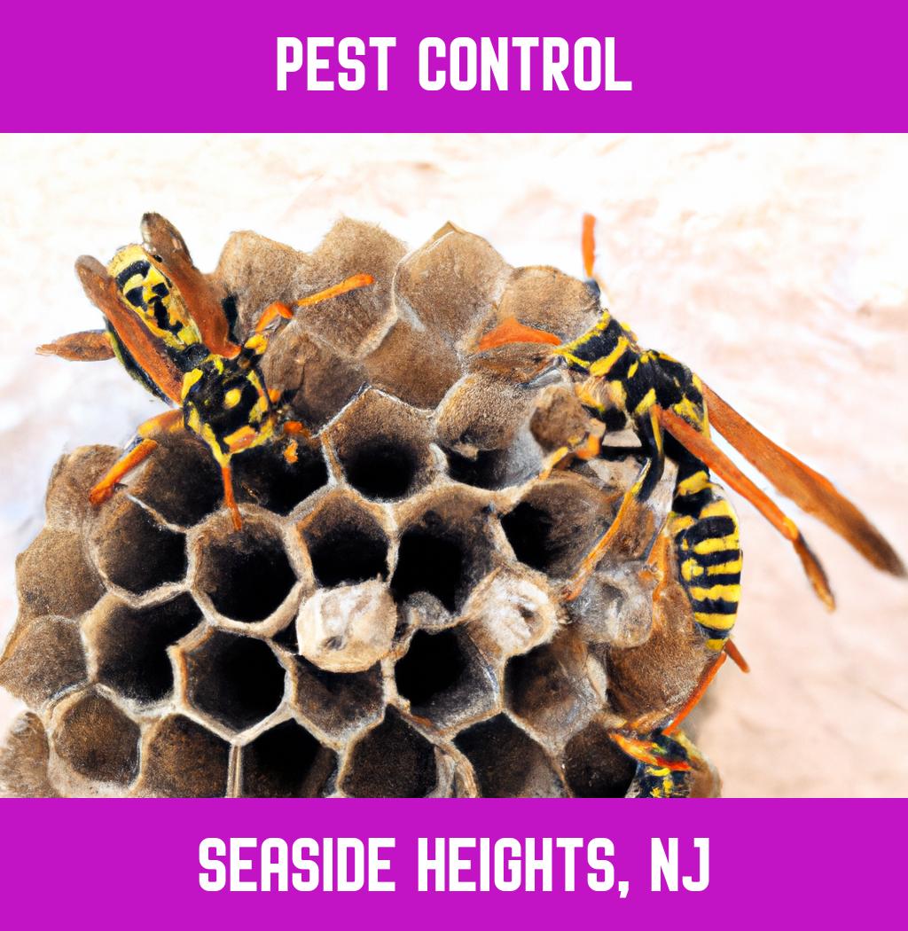pest control in Seaside Heights New Jersey
