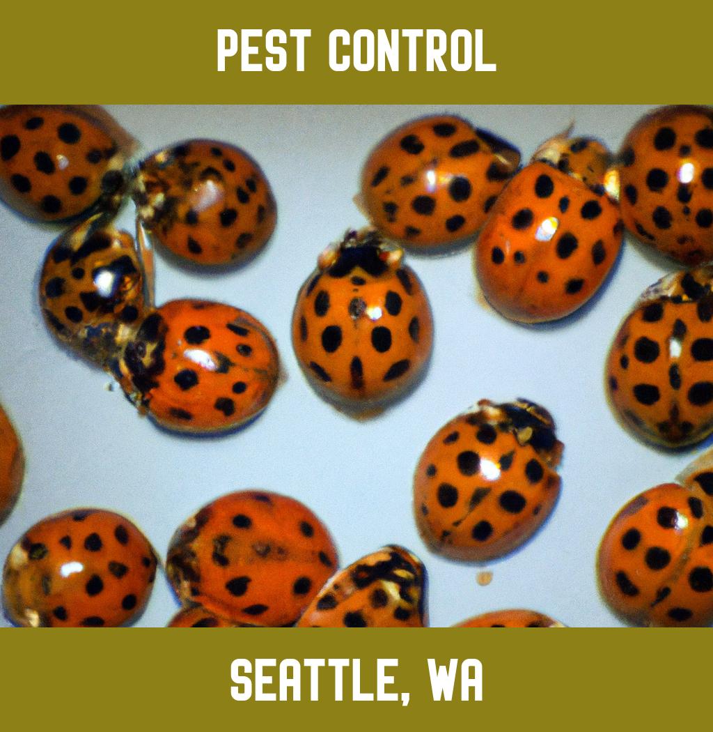 pest control in Seattle Washington