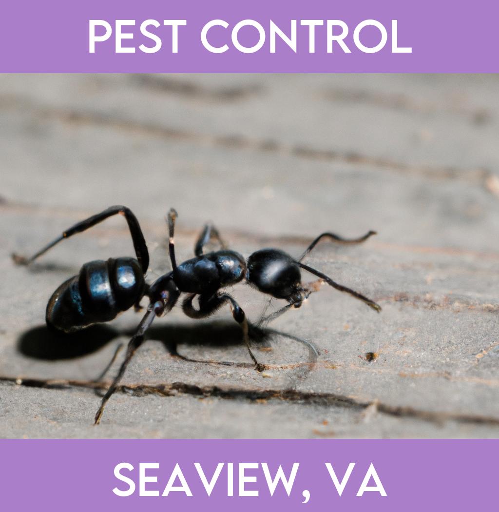 pest control in Seaview Virginia