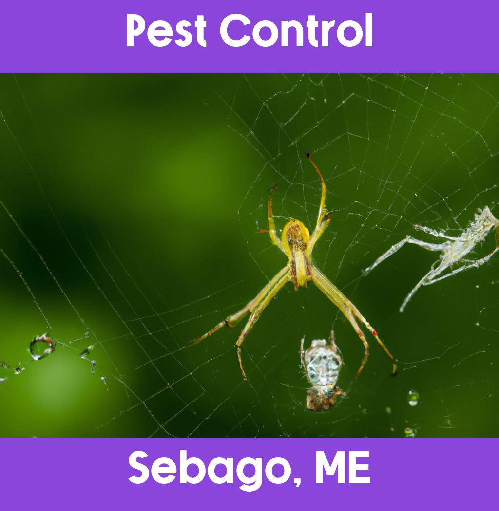 pest control in Sebago Maine