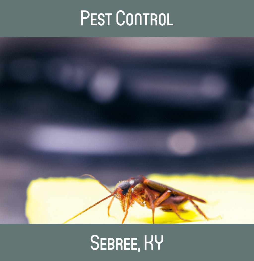 pest control in Sebree Kentucky