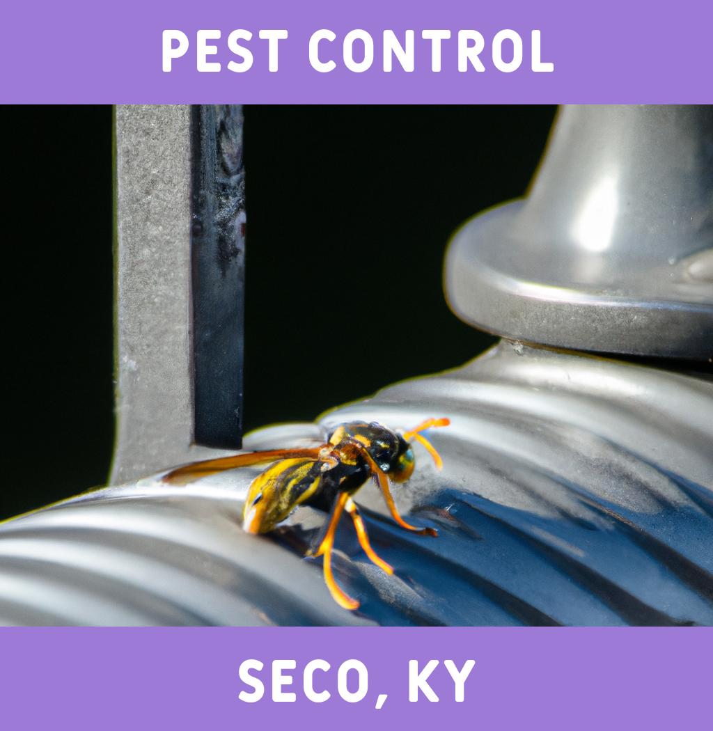 pest control in Seco Kentucky