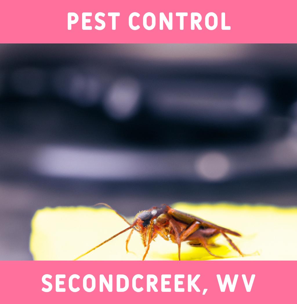 pest control in Secondcreek West Virginia