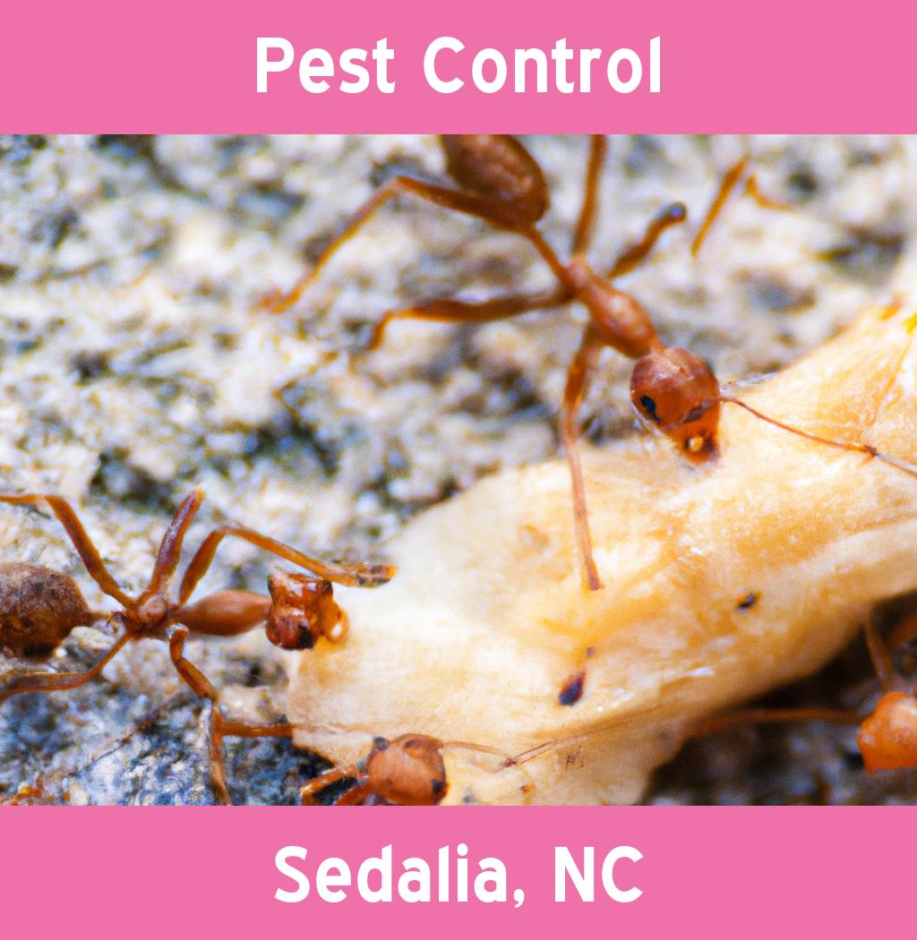 pest control in Sedalia North Carolina