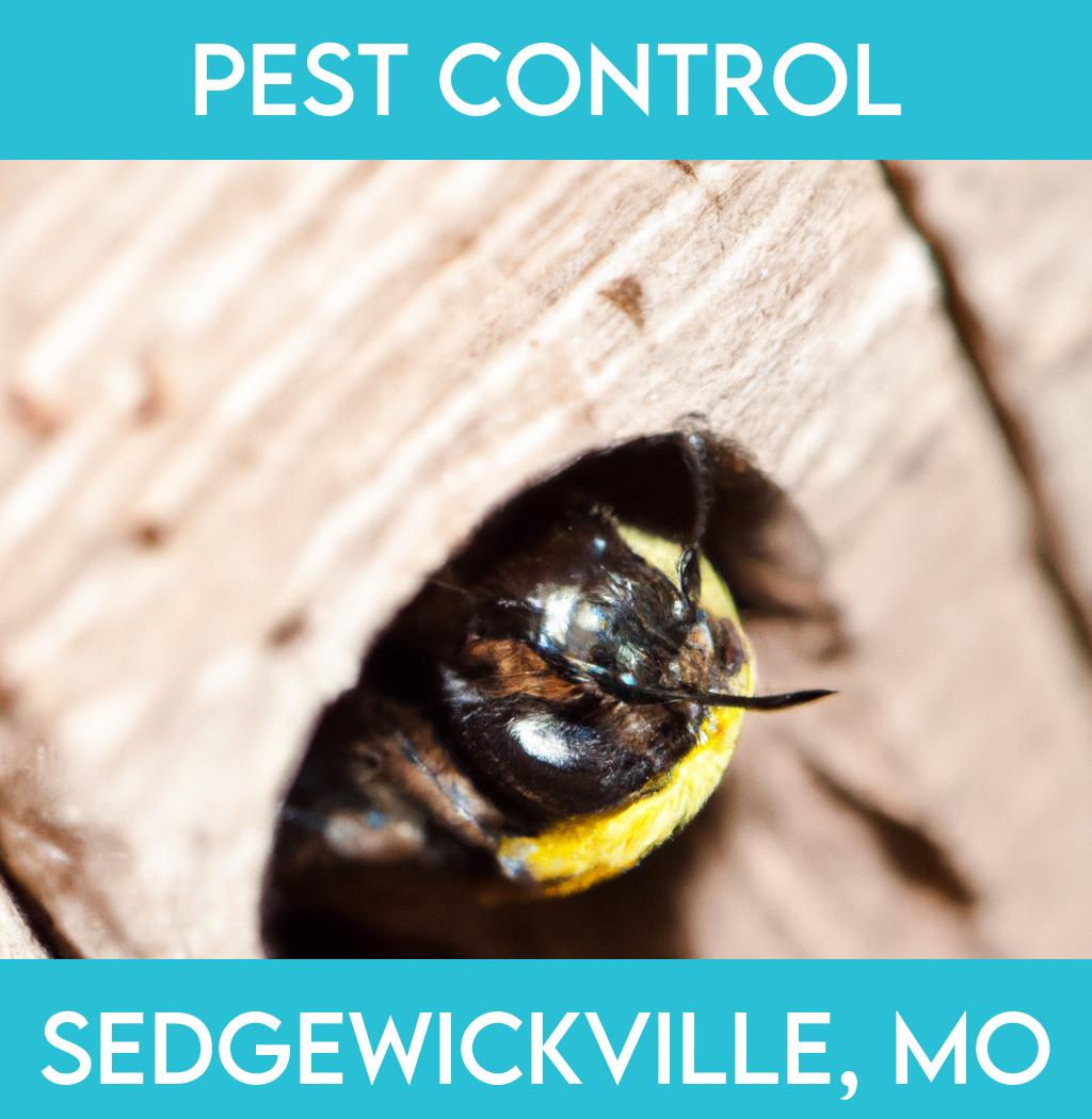 pest control in Sedgewickville Missouri