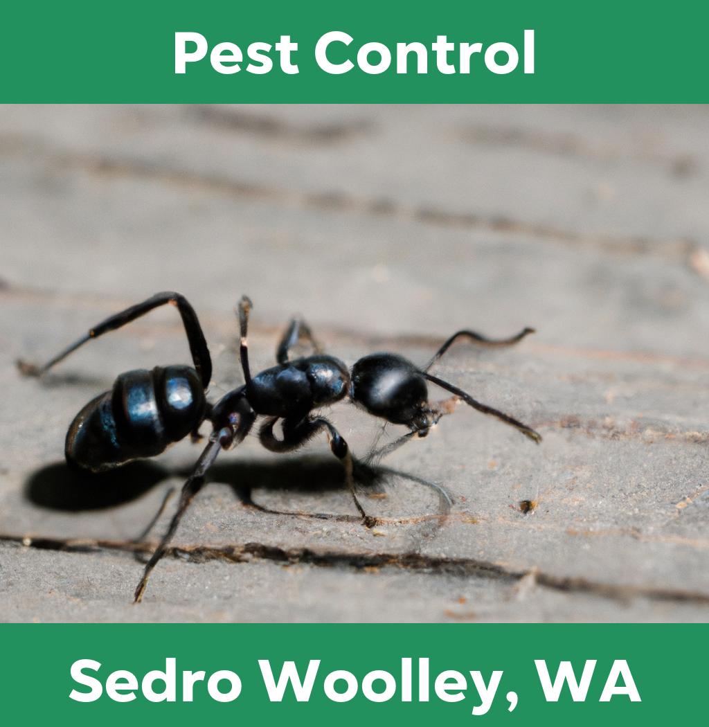 pest control in Sedro Woolley Washington