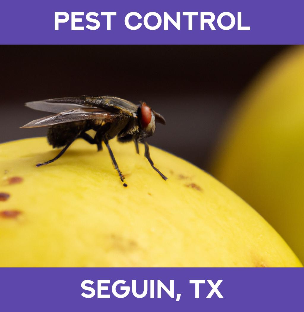 pest control in Seguin Texas