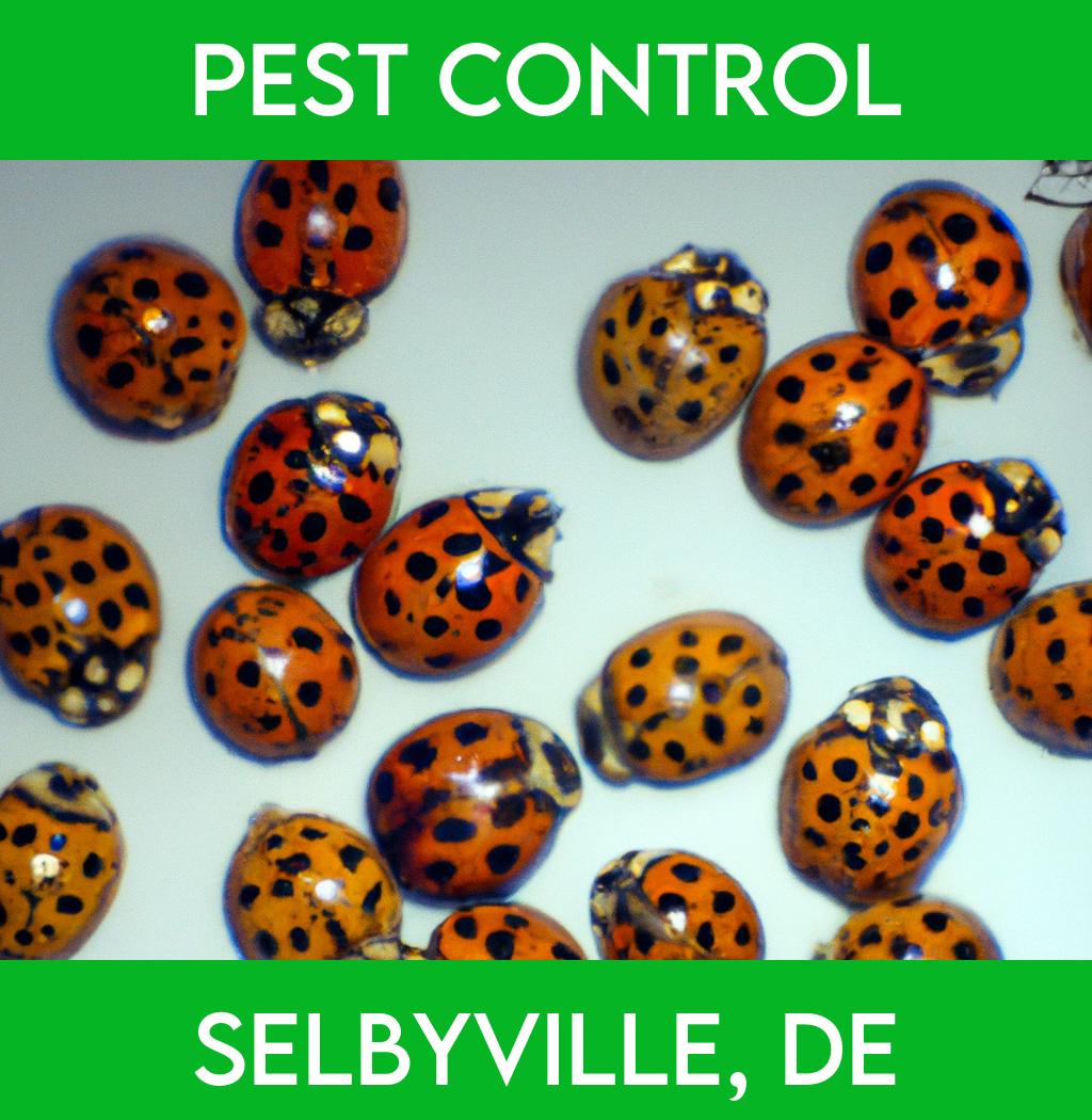 pest control in Selbyville Delaware