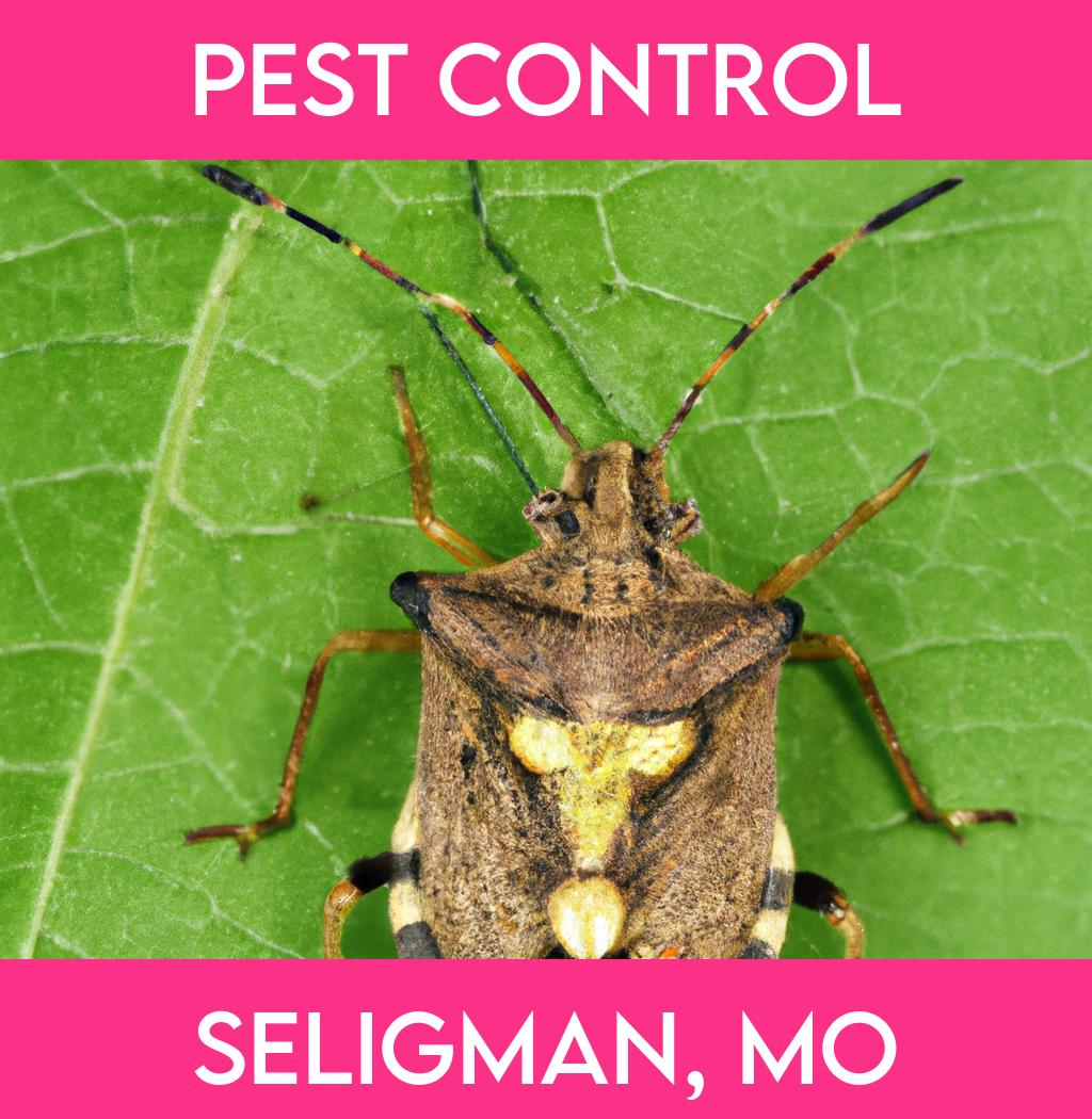 pest control in Seligman Missouri