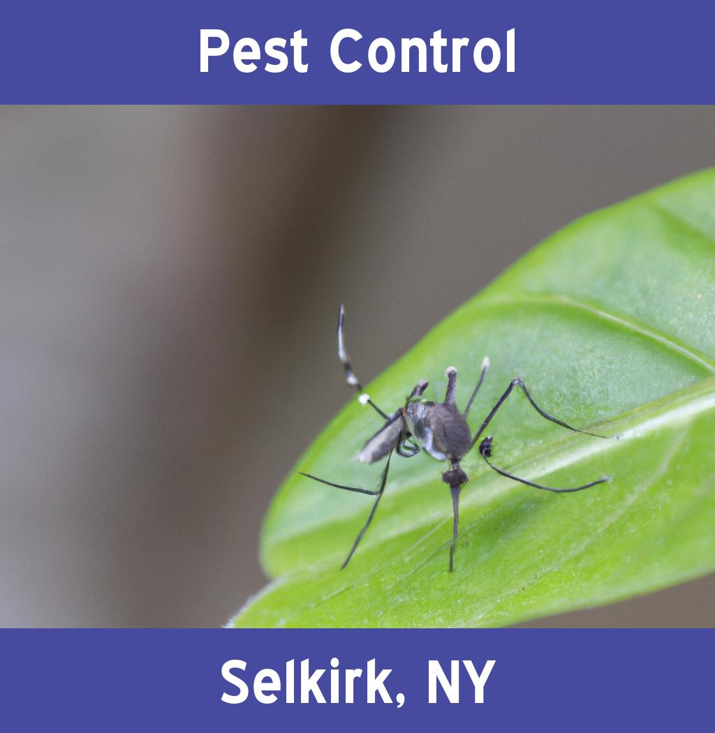 pest control in Selkirk New York