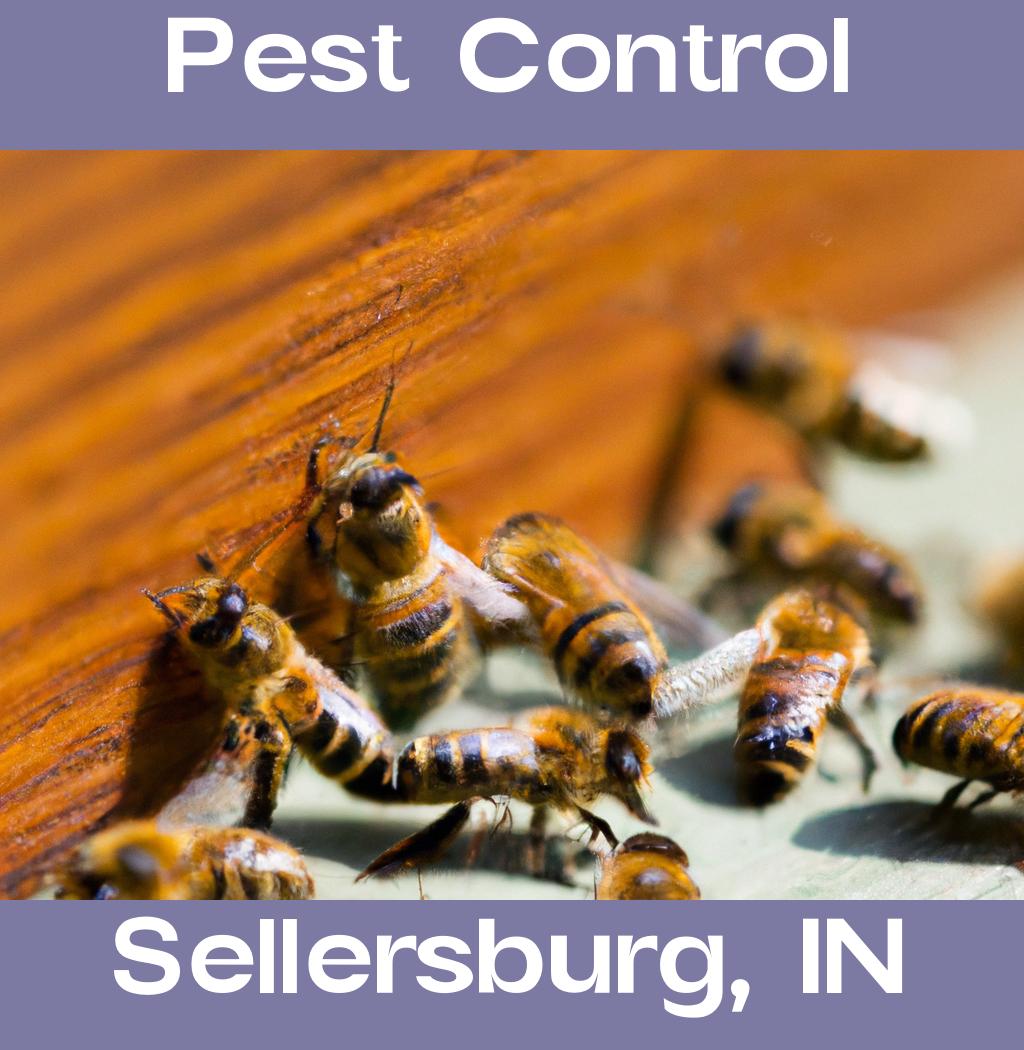 pest control in Sellersburg Indiana