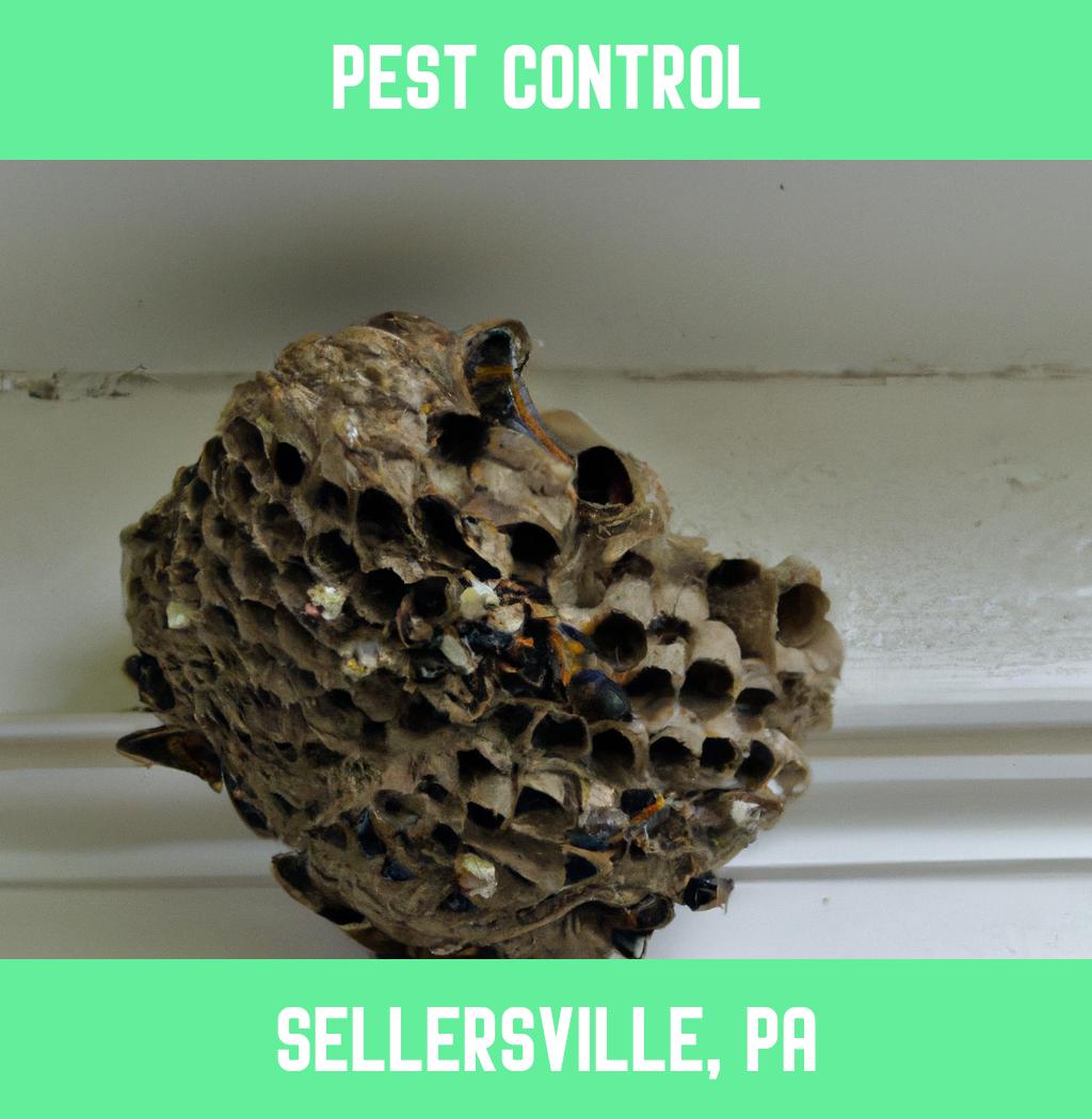 pest control in Sellersville Pennsylvania