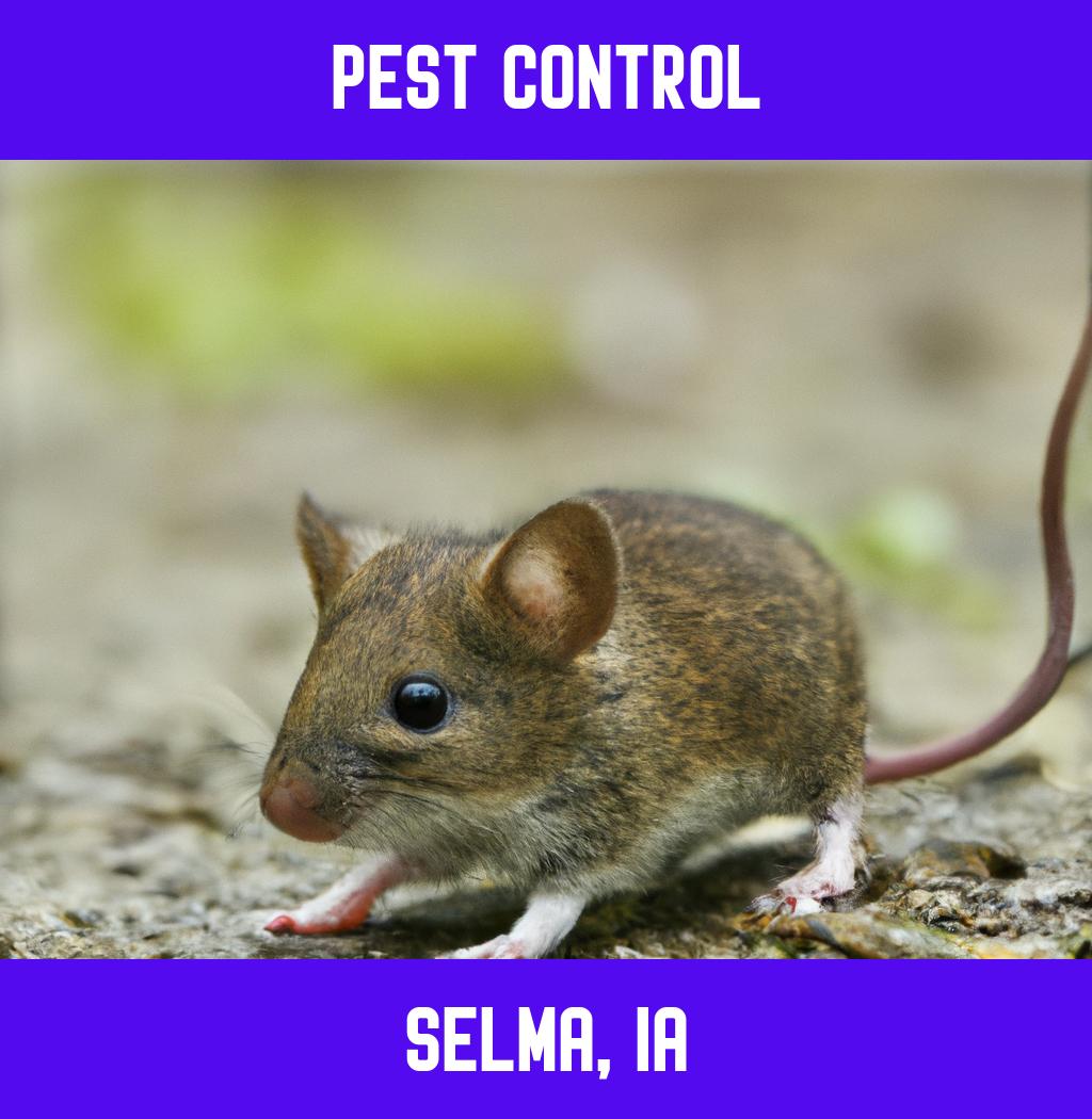 pest control in Selma Iowa