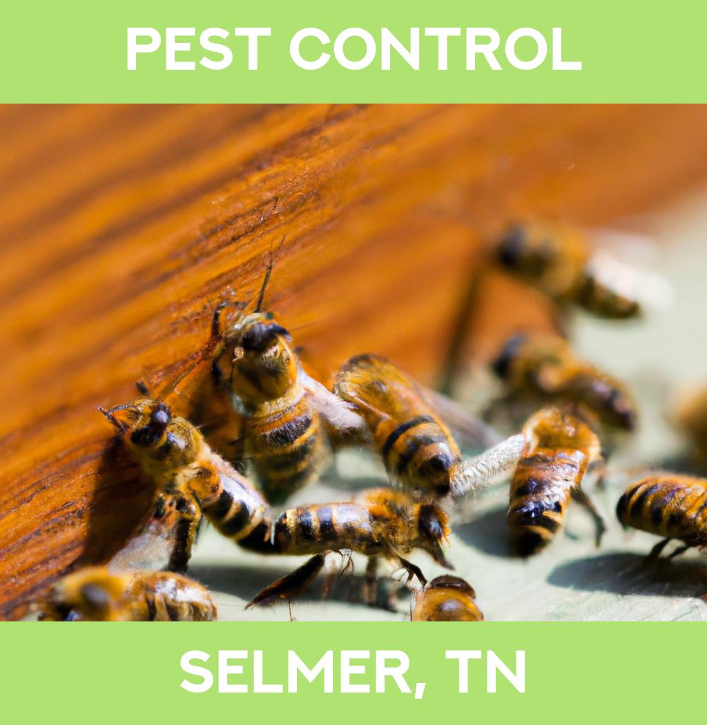pest control in Selmer Tennessee