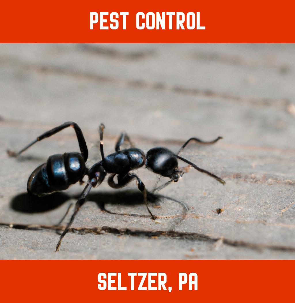 pest control in Seltzer Pennsylvania